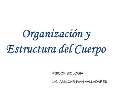 Organización y Estructura del Cuerpo