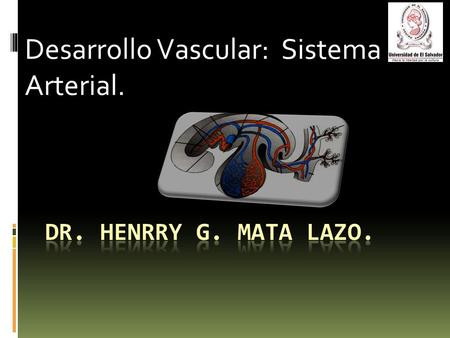 Desarrollo Vascular: Sistema Arterial.