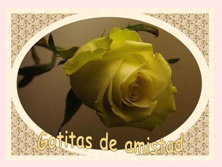 “La verdadera amistad es planta de lento crecimiento que debe sufrir y vencer los embates del infortunio antes de que sus frutos lleguen a completa.