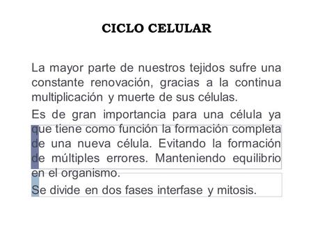 CICLO CELULAR La mayor parte de nuestros tejidos sufre una constante renovación, gracias a la continua multiplicación y muerte de sus células. Es de.