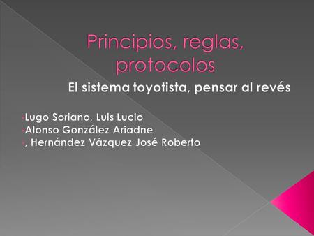 Principios, reglas, protocolos