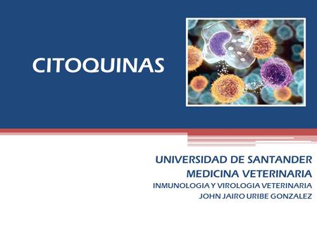 CITOQUINAS UNIVERSIDAD DE SANTANDER MEDICINA VETERINARIA