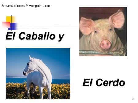 Presentaciones-Powerpoint.com El Caballo y El Cerdo.