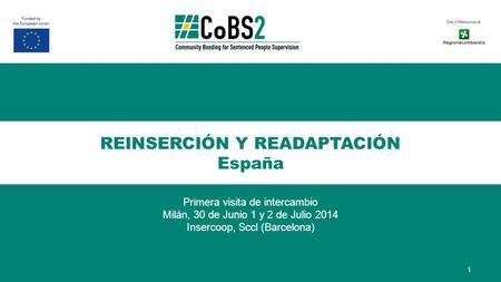 REINSERCIÓN Y READAPTACIÓN España