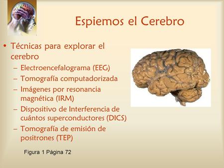 Espiemos el Cerebro Técnicas para explorar el cerebro