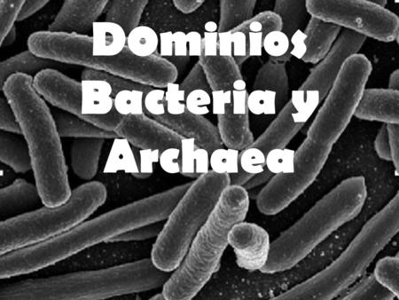 D0minios Bacteria y Archaea