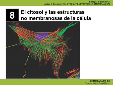 8 El citosol y las estructuras no membranosas de la célula.