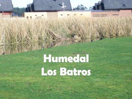 Humedal Los Batros.