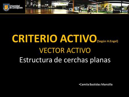 CRITERIO ACTIVO(Según H