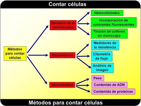 Métodos para contar células