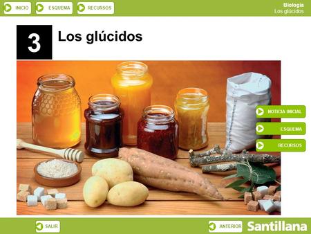 3 Los glúcidos NOTICIA INICIAL ESQUEMA RECURSOS.