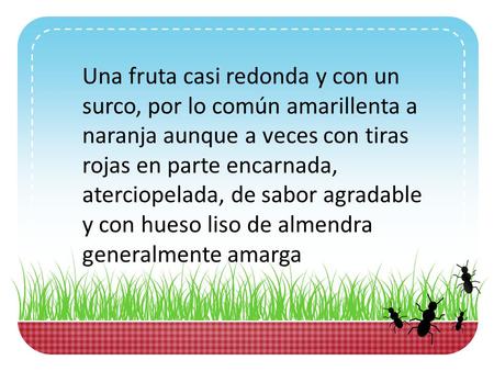 Una fruta casi redonda y con un surco, por lo común amarillenta a naranja aunque a veces con tiras rojas en parte encarnada, aterciopelada, de sabor agradable.