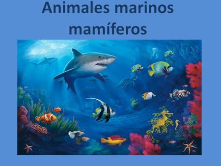 Animales marinos mamíferos