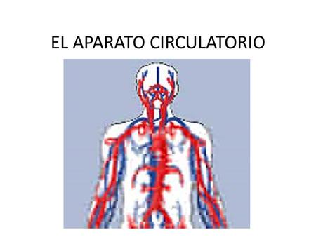 EL APARATO CIRCULATORIO