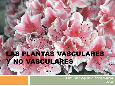 LAS PLANTAS VASCULARES Y NO VASCULARES