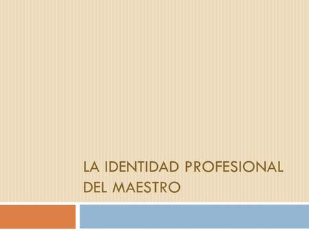 La identidad profesional del maestro