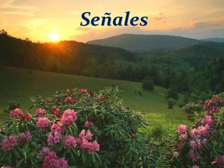 Sinais de Deus!! Señales Se cuenta que un viejo árabe analfabeto, oraba con tanto fervor y con tanto cariño cada noche que cierta vez el poderoso jefe.