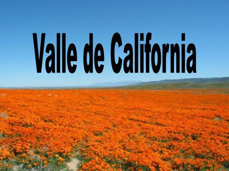 Valle de California.