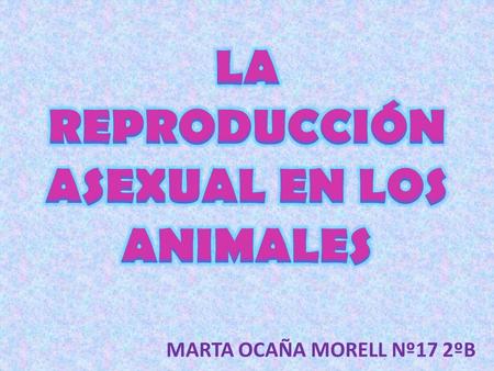 LA REPRODUCCIÓN ASEXUAL EN LOS ANIMALES