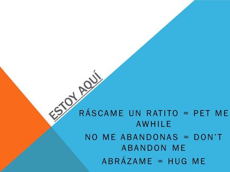 ESTOY AQUÍ RÁSCAME UN RATITO = PET ME AWHILE NO ME ABANDONAS = DON’T ABANDON ME ABRÁZAME = HUG ME.