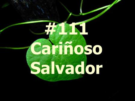 #111 Cariñoso Salvador.