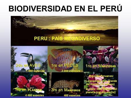 BIODIVERSIDAD EN EL PERÚ