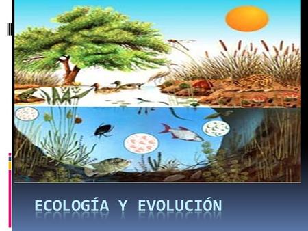 Ecología y evolución.