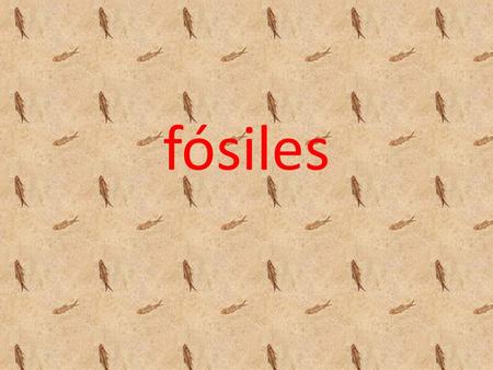 Fósiles fósiles.