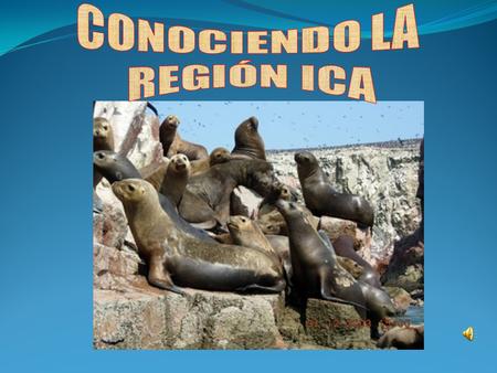 CONOCIENDO LA REGIÓN ICA.
