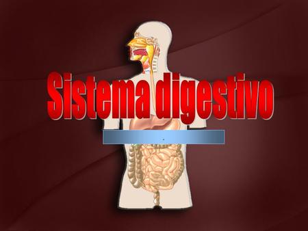 Sistema digestivo ..