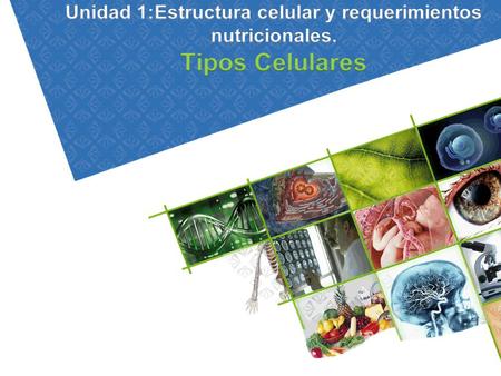 Unidad 1:Estructura celular y requerimientos nutricionales