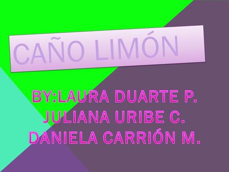 Caño limón BY:LAURA DUARTE P. JULIANA URIBE C. DANIELA CARRIÓN M.
