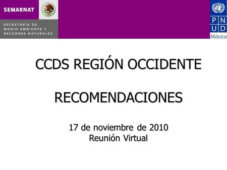 CCDS REGIÓN OCCIDENTE RECOMENDACIONES 17 de noviembre de 2010 Reunión Virtual.