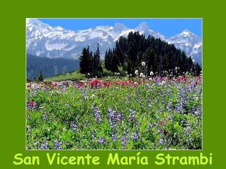 San Vicente María Strambi