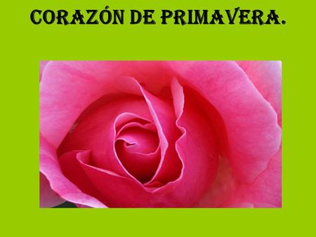 Corazón de primavera.. Abrió la ventana y una corriente hizo que sus rizos se tambalearan en el aire. En la calle ya era primavera, el sol brillaba y.