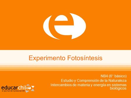 Experimento Fotosíntesis