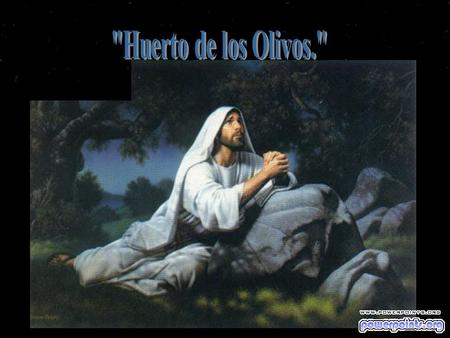 Lentamente le invade una soledad angustiosa : Dios guarda silencio, sus amigos duermen, los olivos son testigos mudos de su agonía. Ha llegado.