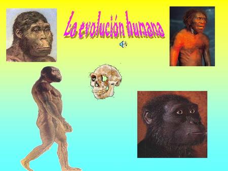 La evolución humana.