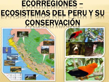 ECORREGIONES – ECOSISTEMAS DEL PERU Y SU CONSERVACIÓN