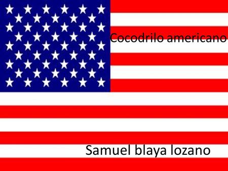 Cocodrilo americano Samuel blaya lozano.