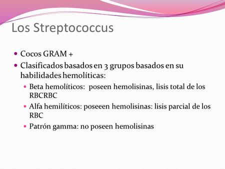 Los Streptococcus Cocos GRAM +