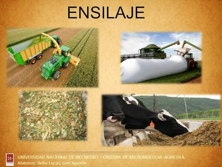 UNIVERSIDAD NACIONAL DE RIO NEGRO – CATEDRA DE MICROBIOLOGIA AGRICOLA