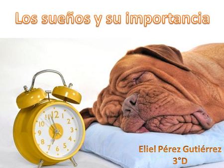 Es un estado de reposo y autorregulación de un organismo. Se caracteriza por bajos niveles de actividad fisiológica (no por ende mental) y por una respuesta.