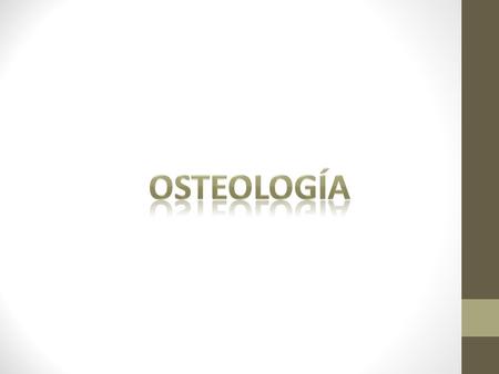 Osteología.