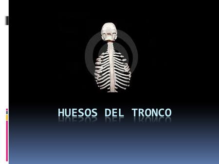 HUESOS DEL TRONCO.
