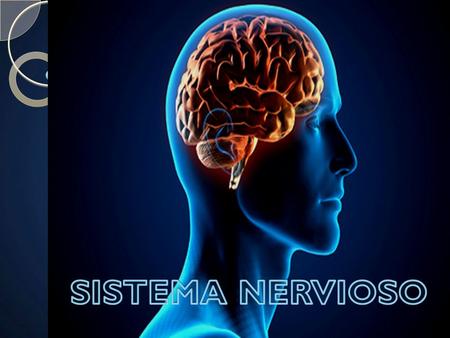 SISTEMA NERVIOSO.