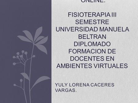 YULY LORENA CACERES VARGAS.