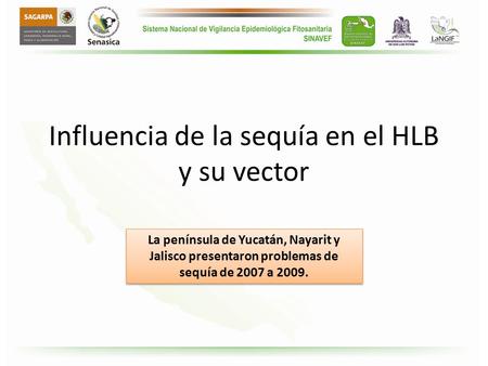 Influencia de la sequía en el HLB y su vector La península de Yucatán, Nayarit y Jalisco presentaron problemas de sequía de 2007 a 2009.
