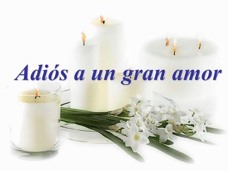 Adiós a un gran amor Su compañera está gravemente herida.