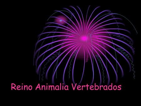 Reino Animalia Vertebrados